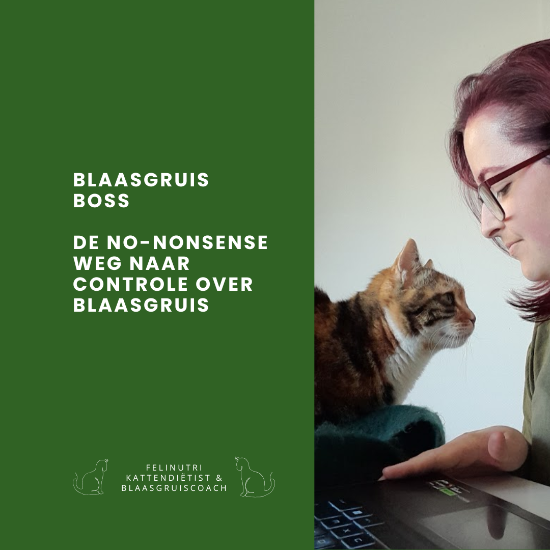 Blaasgruis Boss - De no-nonsense weg naar controle over blaasgruis