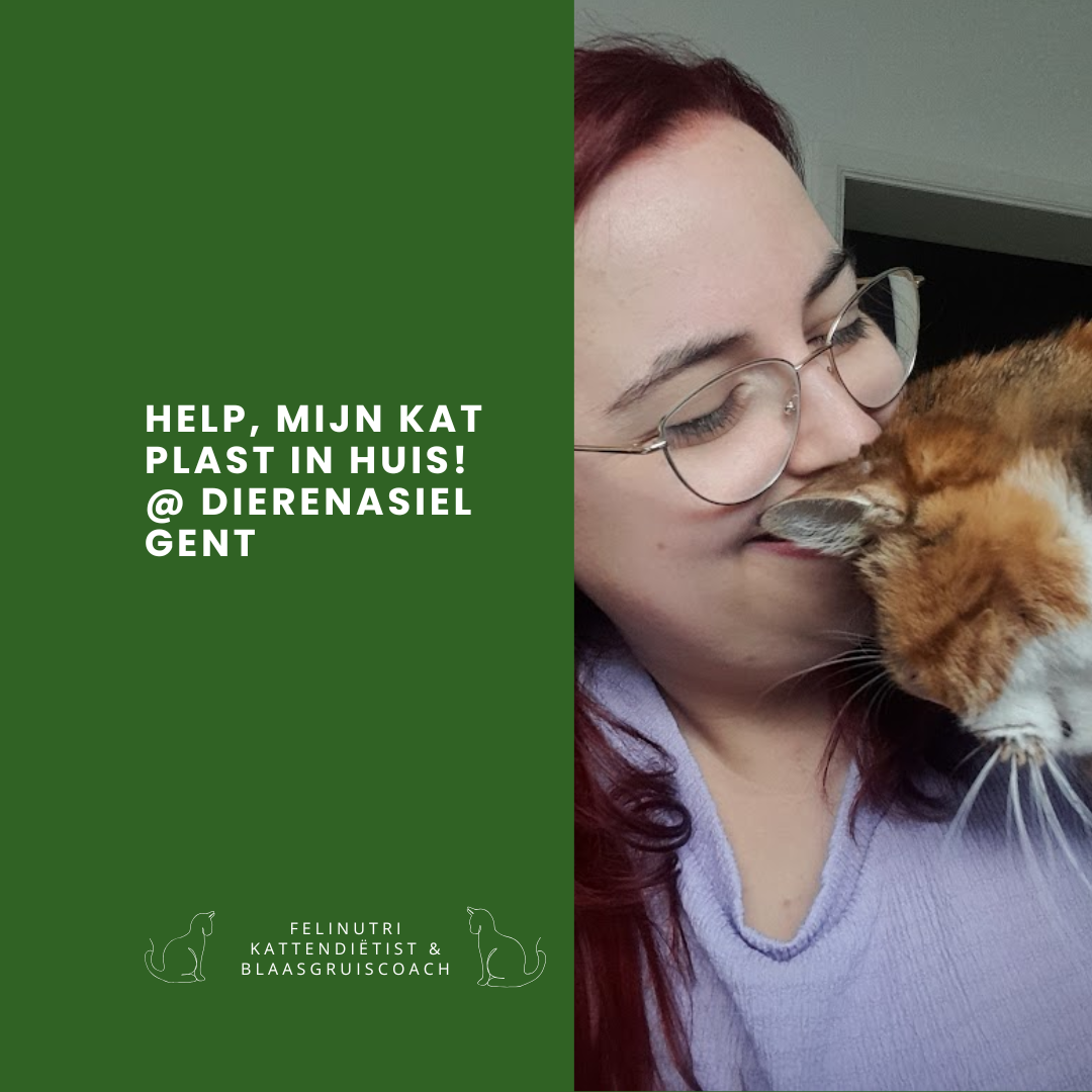 Help, mijn kat plast in huis!