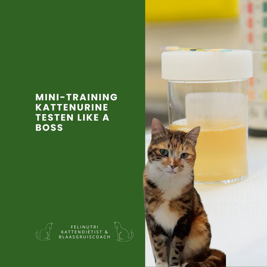 Kattenurine Testen Like a Boss