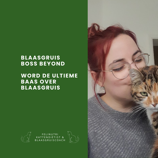Blaasgruis Boss Beyond - Word de ultieme baas over blaasgruis