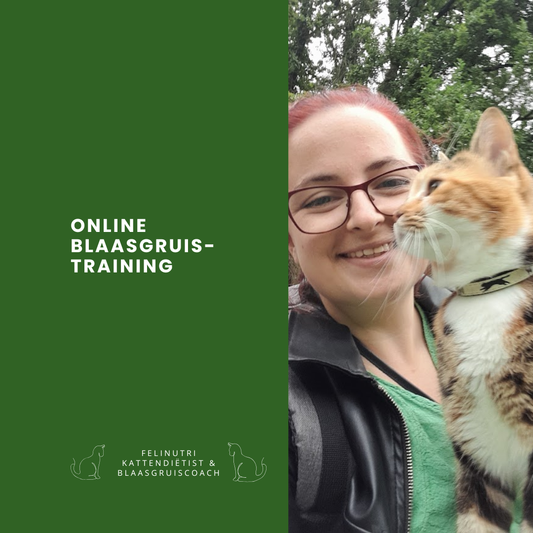 Online blaasgruistraining 2.0